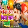 About Dhokha Dele Biya Jaan Pyari Song
