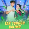 About Tak Tunggu Balimu Song