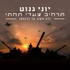 About תרחיב צעדי תחתי Song