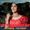 About Dila Tute koi Nahi Jane Song