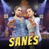 SANES