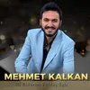 About Ne Bakarsın Kardaş Öyle Song