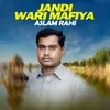 About Jandi Wari Mafiya Song