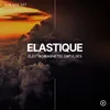 About Elastique Song