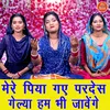 About Mere Piya Gaye Pardes Gelya Ham Bhi Javange Song