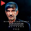 About Zor Dostum Song