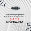 About Şair Song