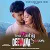 About Tera Aashiq Deewana Sanam Song