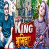 About King Bhumihar Song