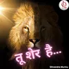 About तू शेर है... Song