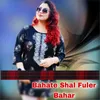 About Bahate Shal Fuler Bahar Song