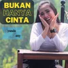 About Bukan Hanya Cinta Song