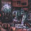 About Feelin' Is Healin' Song