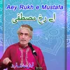 About Aey Rukh e Mustafa Song