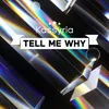 About Tell me why Song