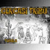 About Cercasi Tribù Song