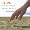 About Salva Song
