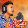 About Anna Matalu Marichi Mosam Chestive Song