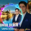 About Urfa Güzeli Song