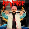 About Revenge Song