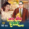 About Jay Bhim Pukare Song