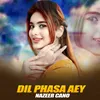 Dil Phasa Aey