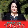 About Tabeeb Song