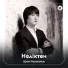 About Неліктен Song