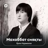 About Махаббат сияқты Song