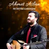 About Ne Deyim Gardaşım Song