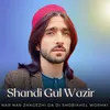 About Nar Nar Zhagezhi Da Di Shobikhel Worhki Song