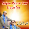 About Sajan Pyare Tur Gaye Ne Song