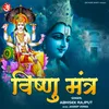 About Vishnu Mantra Song