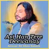 About Asi Han Tere Deewanay Song