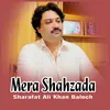 About Mera Shahzada Song