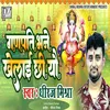 About Ganpati Bhane Khelai Chi Yo Song