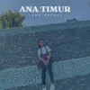 About ANA TIMUR Song