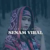 About SENAM VIRAL Song