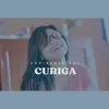 About CURIGA Song