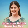 Dameza Zoor Nada