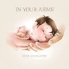 About In Your Arms Song