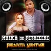 About MUZICA DE PETRECERE Song