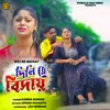 About Dili Re Bidhay Song