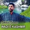 Watan Hamara Azad kashmir