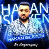 About Ne Angaraymış Song