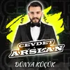 About Dünya Küçük Song