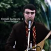 About Nezam Bamyani - 1 Song