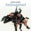 About beleszakad Song