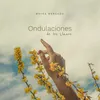 About Ondulaciones De Los Llanos Song