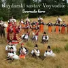About Svornato horo Song